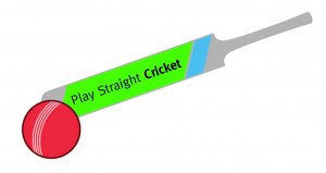 Play Straight Cricket